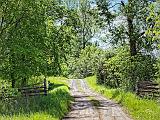 Country Lane_00672